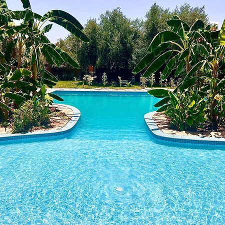 לינה וארוחת בוקר Douar Akkara Le Domaine De Carole Marrakech מראה חיצוני תמונה