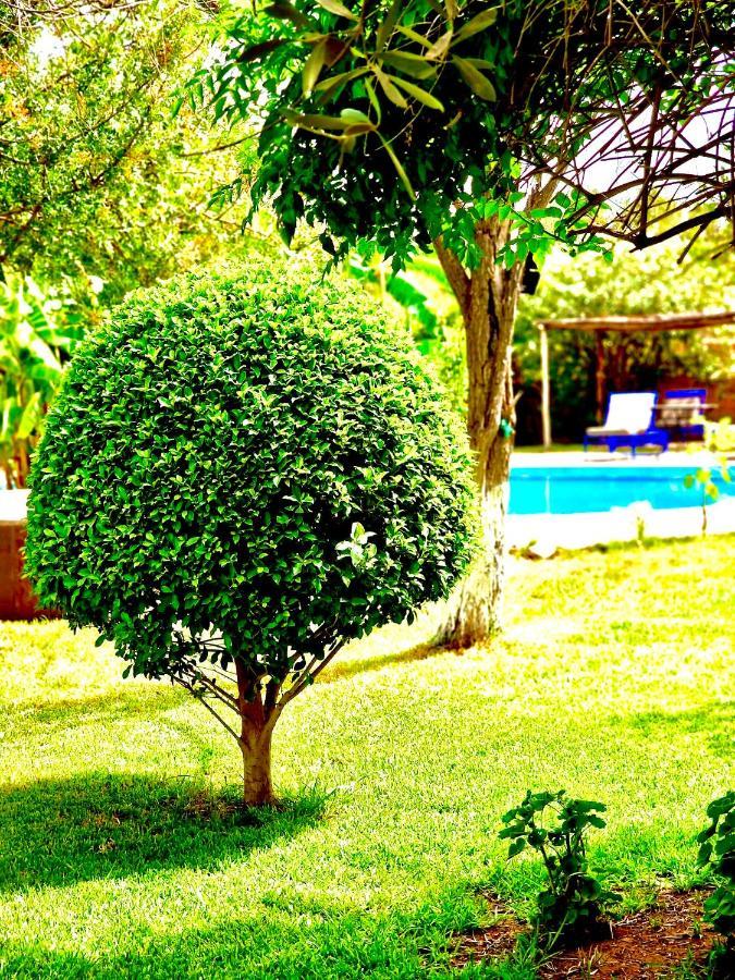 לינה וארוחת בוקר Douar Akkara Le Domaine De Carole Marrakech מראה חיצוני תמונה
