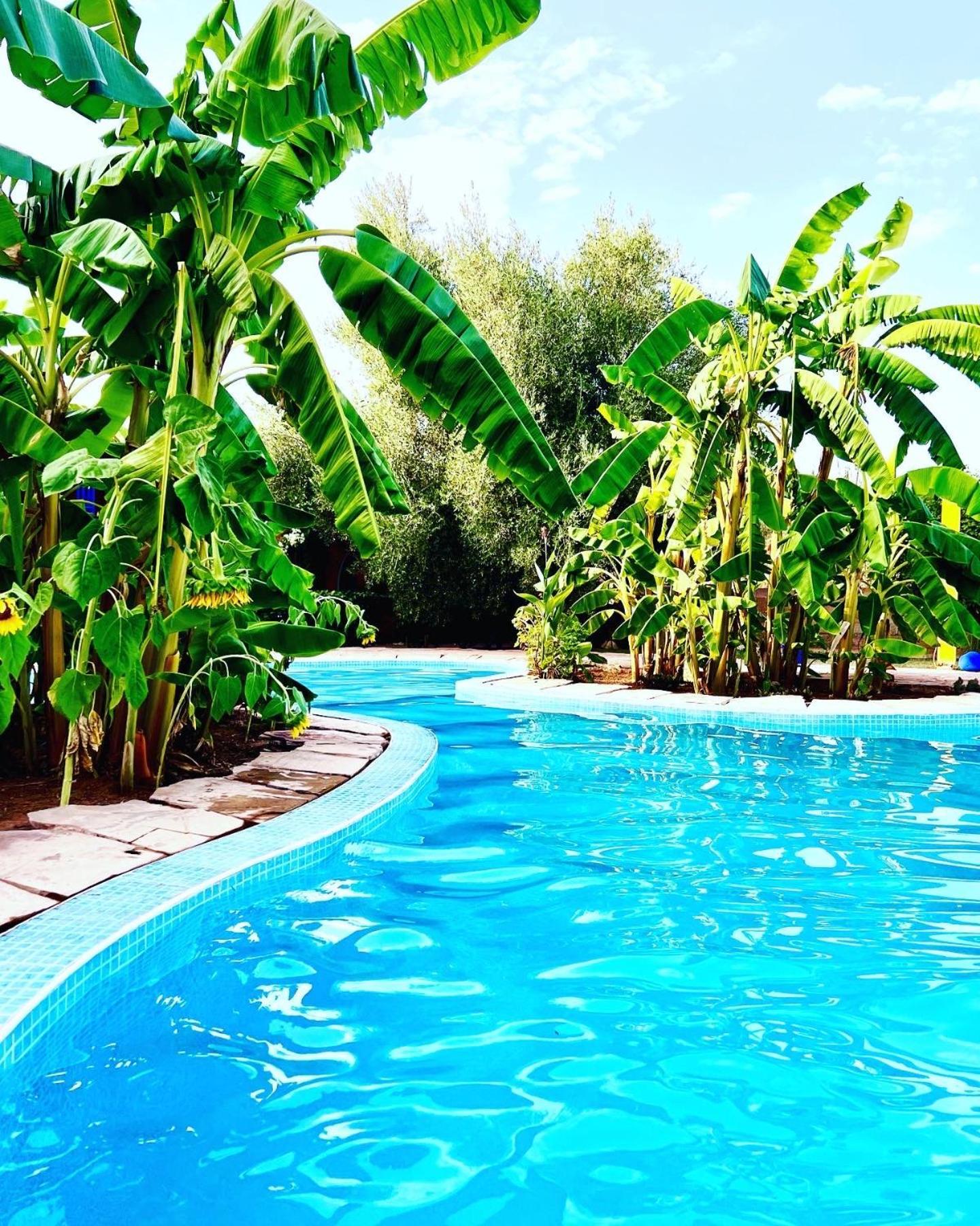לינה וארוחת בוקר Douar Akkara Le Domaine De Carole Marrakech מראה חיצוני תמונה