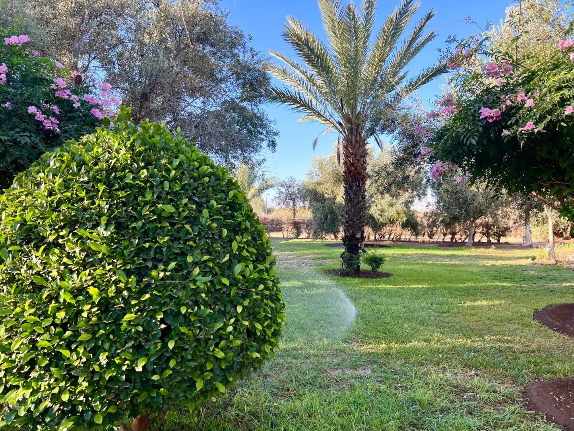 לינה וארוחת בוקר Douar Akkara Le Domaine De Carole Marrakech מראה חיצוני תמונה