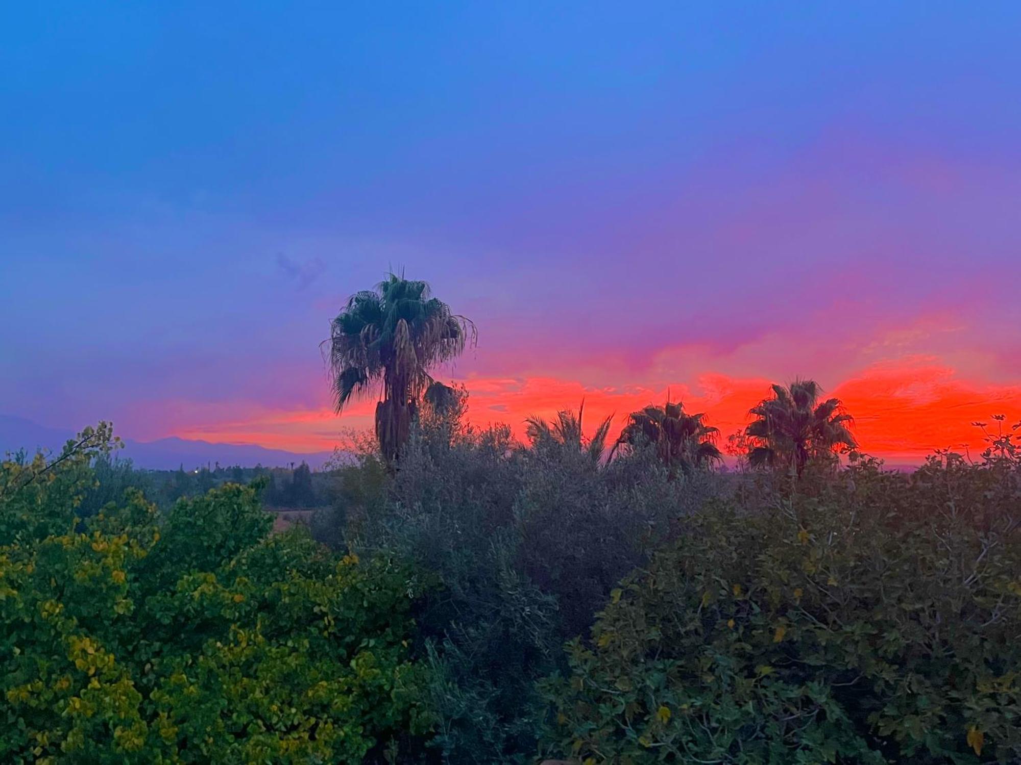 לינה וארוחת בוקר Douar Akkara Le Domaine De Carole Marrakech מראה חיצוני תמונה