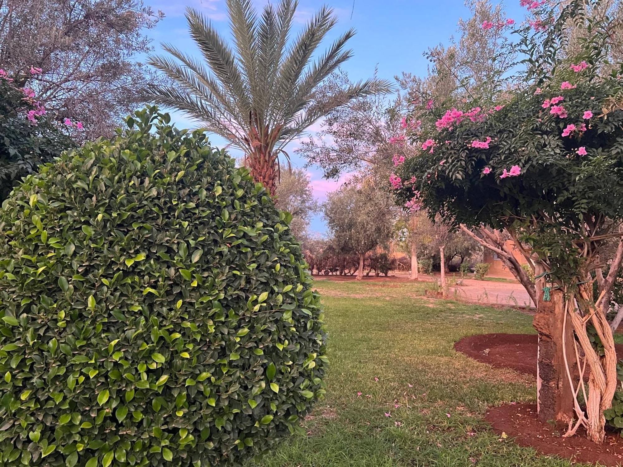 לינה וארוחת בוקר Douar Akkara Le Domaine De Carole Marrakech מראה חיצוני תמונה
