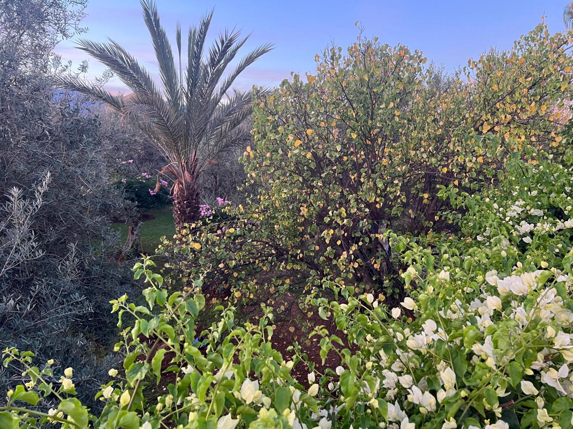 לינה וארוחת בוקר Douar Akkara Le Domaine De Carole Marrakech מראה חיצוני תמונה