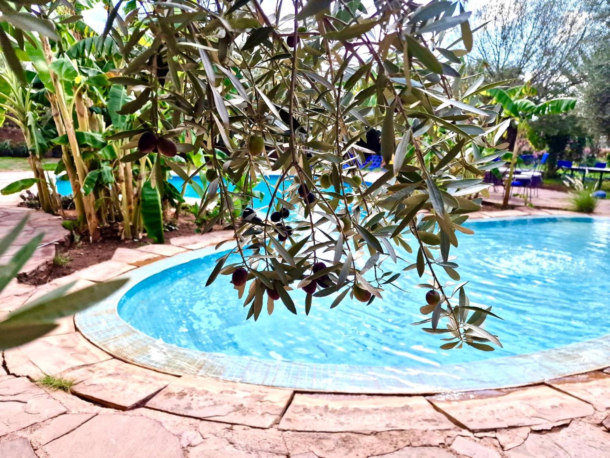 לינה וארוחת בוקר Douar Akkara Le Domaine De Carole Marrakech מראה חיצוני תמונה